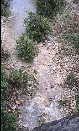 GATA RECULL 76,8 LITRES AMB ELS TRES DIES DE PLUJA. El dia de Nadal de 1926 va fer una gran nevada