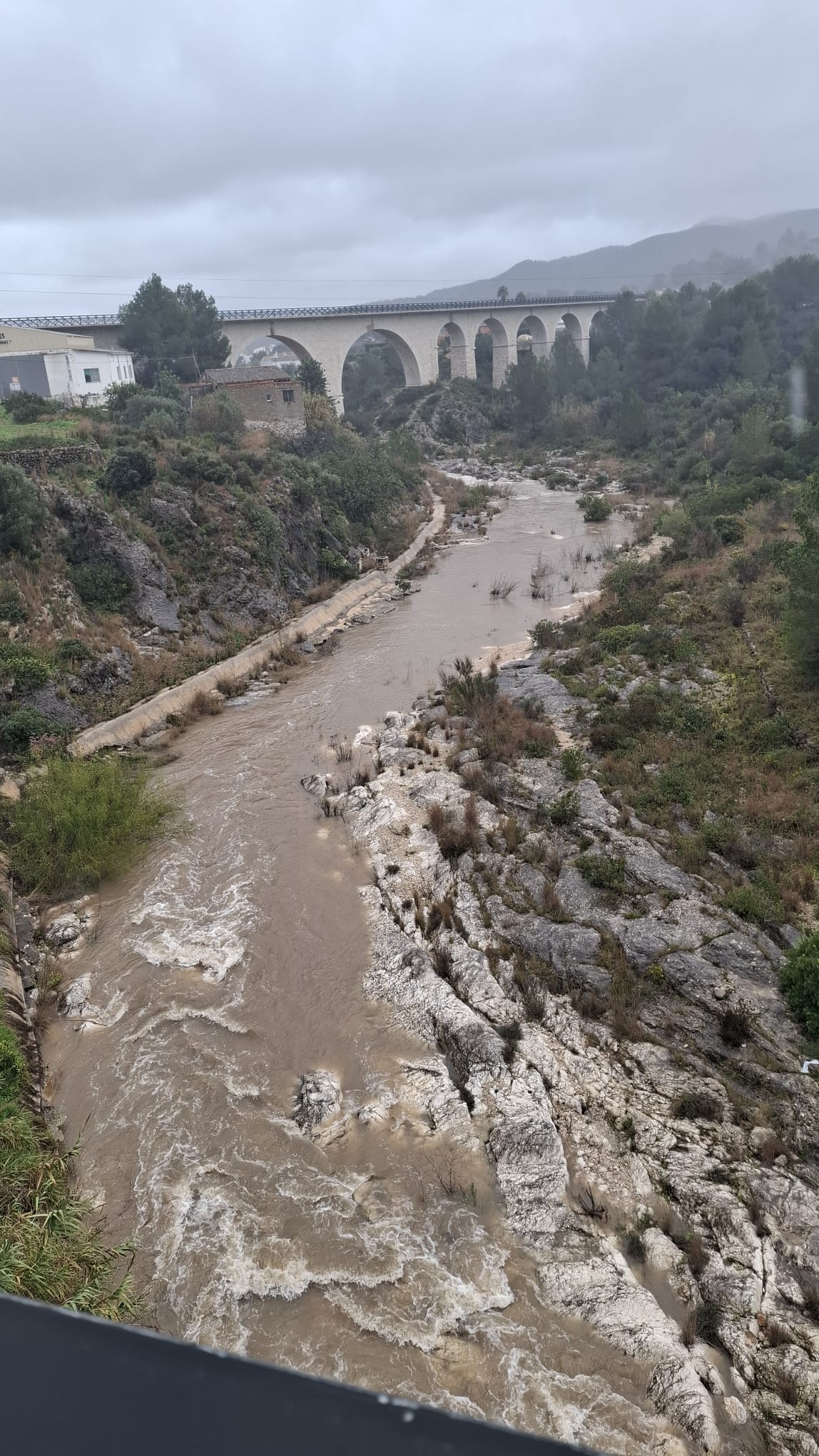 A GATA TORNA A BAIXAR AIGUA PEL RIU. HA VINGUT EL RIU A LES 9:45 HORES. Al poble ja rondem el centenar de litres només hui. L'última vegada del riu, el dia de sant Josep