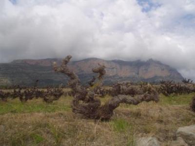 20100414112612-copia-de-dsc07064.jpg