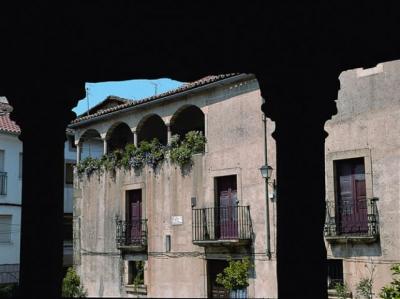 20100417182506-gata.jpg
