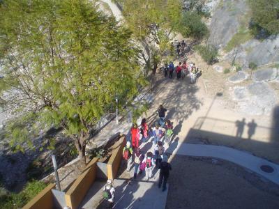 20100421204239-dsc07018.jpg