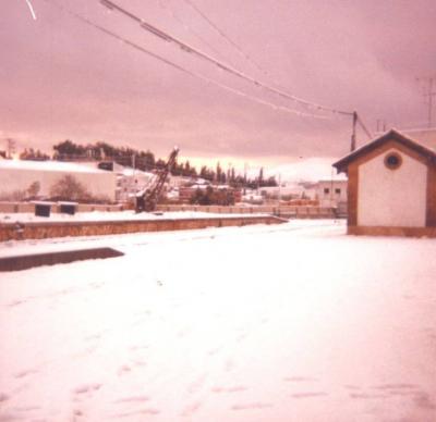 FOTOGRAFIES ANTIGUES (Gata en el record) -30-