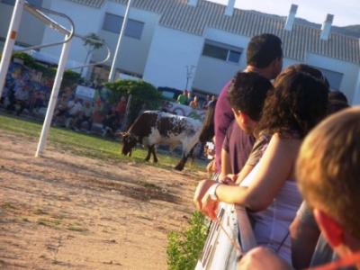 LA PENYA TAURINA DE GATA ORGANITZÀ, DISSABTE 19 DE JUNY, LA GRAN CAGADA