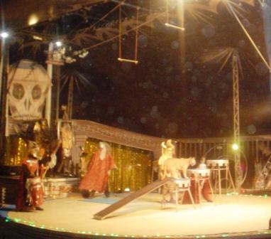 UNA VISITA AL CIRCahir dissabte