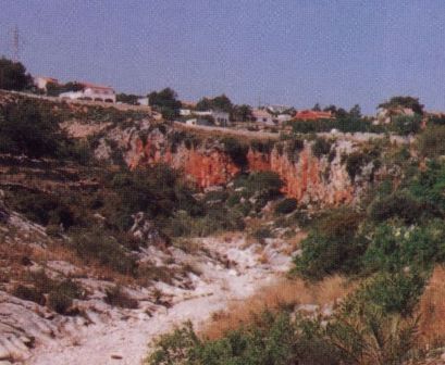 PINTURES RUPESTRES DE LES COVES ROGES: PER FI, JA SÓN BÉ D´INTERÉS CULTURAL