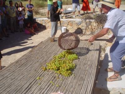 ESTAMPES DE L´ESCALDÀ: Abocar el raïm al canyís