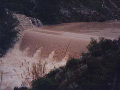 20101103235850-image0-2.jpg