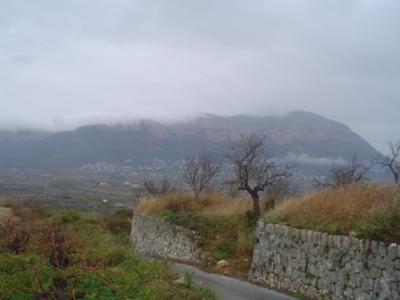 HUI HA CONTINUAT LA PLUJA: portem ja 23 litres.