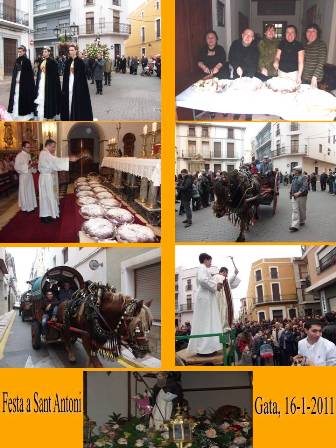 GATA HA CELEBRAT HUI LA FESTA DE SANT ANTONI