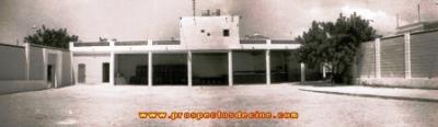 FOTOGRAFIES ANTIGUES (Gata en el record) -631-