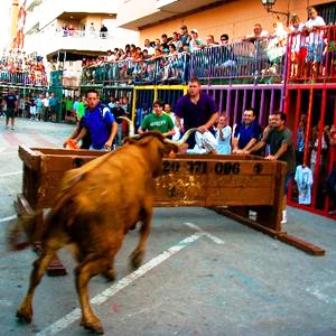 INICIEN LEXPEDIENT PER A DECLARAT BÉ DINTERÉS CULTURAL IMMATERIAL ALS BOUS AL CARRER