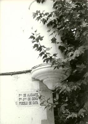 FOTOGRAFIES ANTIGUES (Gata en el record) 811, la del dia 3-