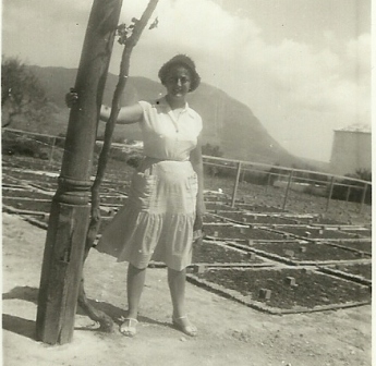 FOTOGRAFIES ANTIGUES (Gata en el record) -846, la del dia 7 dagost, dimarts-