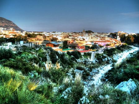 IMATGES CURIOSES: Gata des de dalt de les Coves Roges