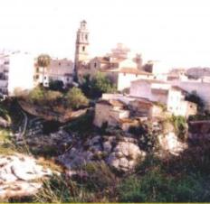 20120916224301-gatadarrereajuniesgl.jpg