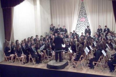 VÉNEN BONS CONCERTS DELS MÚSICS GATERS