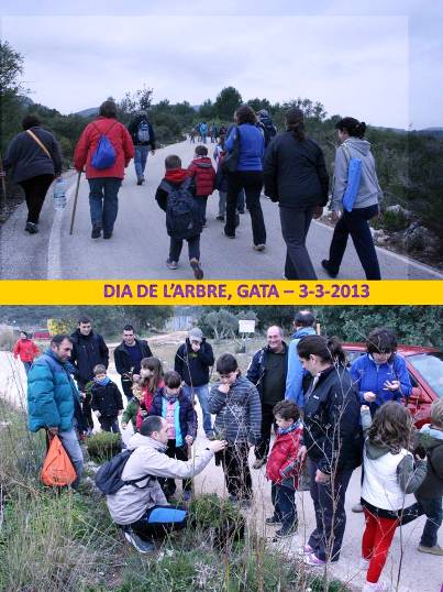 AL VOLTANT DE 70 PERSONES PARTICIPEN EN LA PLANTACIÓ DARBRES