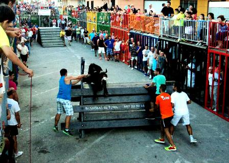 IMATGES DE FESTA: vesprades de bous, tots al vol!