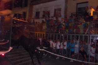 DIES DE BOUS DE GATA 2013, ESTA VESPRADA, A MEDITERRÁNEO TV