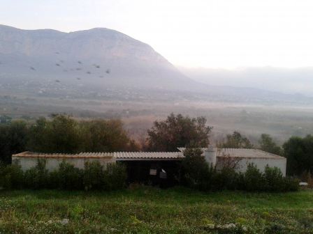 IMATGE CURIOSA: el Montgó i la boira terrera