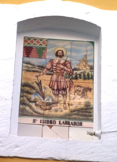 HUI ÉS SANT ISIDRE LLAURADOR, dia de la sembra de les bajoques llargues