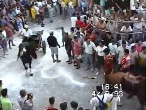 REPRENINT LA SÈRIE: FOTOS ANTIGUES (Gata en el record) -1.562, del dia 27-7)