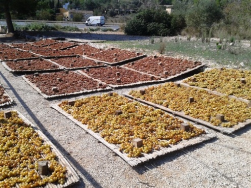 COSTUM AGRÍCOLA A GATA: És temps d'escaldar ( 3 )
