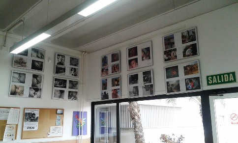 IMATGES CURIOSES: LA CANTINA DE L'INSTITUT DE GATA ACULL UNA EXPOSICIÓ SOBRE LA LACTÀNCIA MATERNA