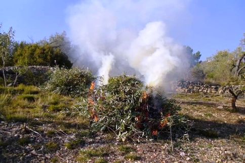 ATENCIÓ, IMPORTANT PER A LLAURADORS I ASIDUS DEL CAMP: DEL 18/5 AL 30/9 PROHIBICIÓ DE CREMES AGRÍCOLES