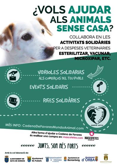 ELS ANIMALS ABANDONATS, MÉS A PROP DE LA SEUA SALVACIÓ