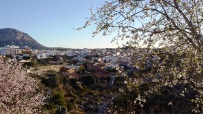 FEBRER: Calendari gater (darrers dies, florixen els ametlers,)