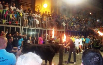 BOUS A FESTES ( II ): ELS DIARIS PUBLIQUENsobre l'acord de lequip de Govern, de no sol·licitar permís a la GV per a fer bou embolat i bou encaixonat