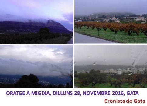 L'EPISODI DE PLUJA DE HUI DEIXA 11 LITRES A GATA