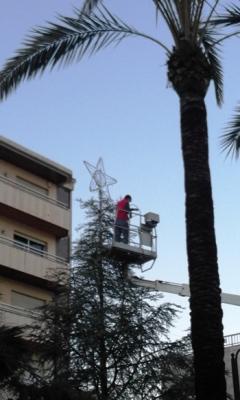 IMATGES CURIOSES: PREPARANT ELS NADALS A GATA