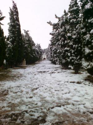 DIA HISTÒRIC, GRAN NEVADA A GATA. 18-1-2017. Quasi 34 anys després