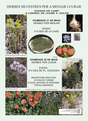 DOS EIXIDES AL CAMP PEL TERME DE GATA MOSTRARAN HERBES SILVESTRES PER A MENJAR I CURAR