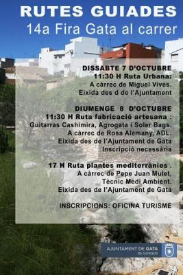 ACTIVITATS CULTURALS I MUSICALS ENVOLTEN LA XIV FIRA GATA AL CARRER