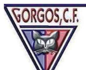 NOVA JORNADA FUTBOLERA PER AL GORGOS: GOLEJA A DOMICILI LINFANTIL (0-3). CAUEN ELS MAJORS, ELS JUVENILS I ELS CADETS.