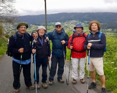 IMATGES CURIOSES: CINC AMICS GATERS FENT EL CAMÍ DE SANTIAGO