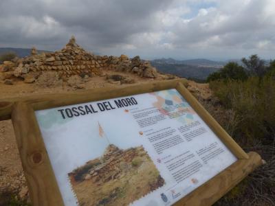 GATA HOMOLOGA I SENYALITZA DOS NOUS SENDERS: Tossal del Moro i Serrillàs