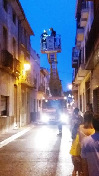 IMATGES CURIOSES: RESCAT D'UN GAT AL CARRER SIGNES DE GATA