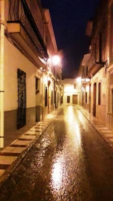 GATA RECULLA JA MÉS DE 100 LITRES EN DOS DIES (112,4 a les 21,27 h.)