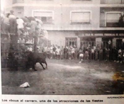 DIARI GATER DE 33 ANYS (1987-2020), 1 a 9 agost 1989