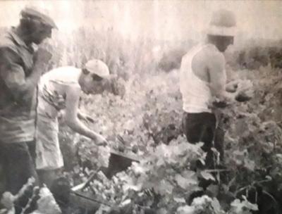 DIARI GATER DE 33 ANYS (1987-2020), 12 a 28, agost 1989
