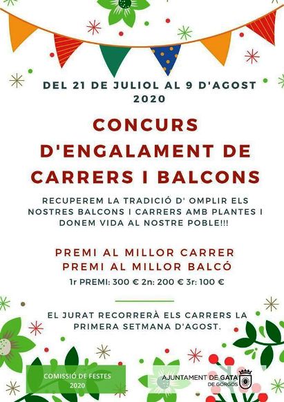 GATA VOL LLUÏR BONICA A LESTIU I A LES FESTES QUE NO ES PODEN FER PEL COVID-19