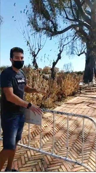 LEUCALIPTUS MONUMENTAL DE LA RANA, QUE VA PARTIR LINCENDI EL 15 DAGOST, SERÀ CUIDAT I CONTROLAT PER A QUE BROTE MÉS I SEGUIXCA EL SEU CAMÍ. LAJUNTAMENT I ELS TÈCNICS VALOREN COM ESTÀ LARBRE CENTENARI