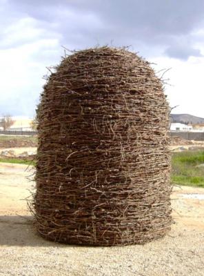 LA GENERALITAT VALENCIANA ADQUIRIX UNA OBRA DE LARTISTA GATER GINESTAR