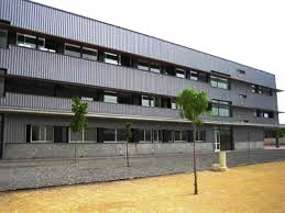 DOS ESCOLARS DE PRIMÀRIA I TRES DE SECUNDÀRIA DE GATA, PREMIS EXTRAORDINARIS AL RENDIMENT ACADÈMIC EN EL CURS 2019-2020 (DOGV, 26 i 27-10-2020)