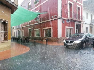 GATA, SOLS UN RUIXAT I RES MÉS, HUI DIVENDRES: 10 LITRES. Foto: Vicent Signes Signes