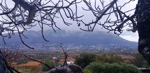 EL GUARDIÀ DEL MONTGÓ: ENVOLTAT DE PLUJA I HUMITAT, AIXÍ PASSA HUI EL DIA
